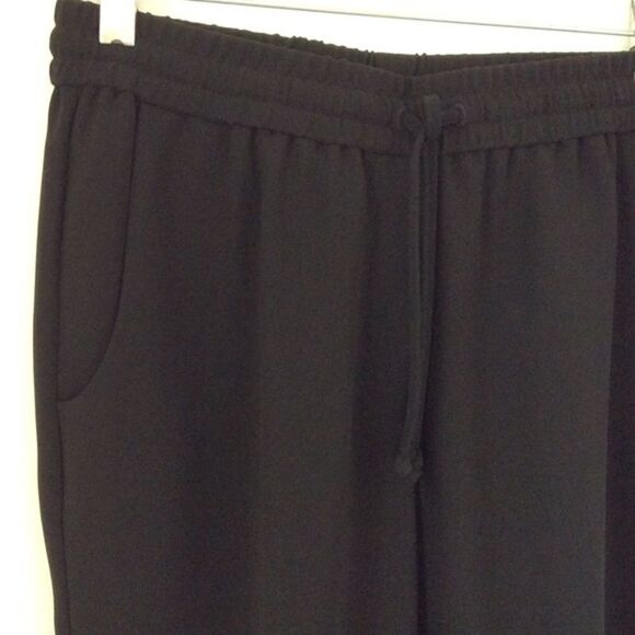 J. CREW RAYON PANTS - Picture 2 of 3